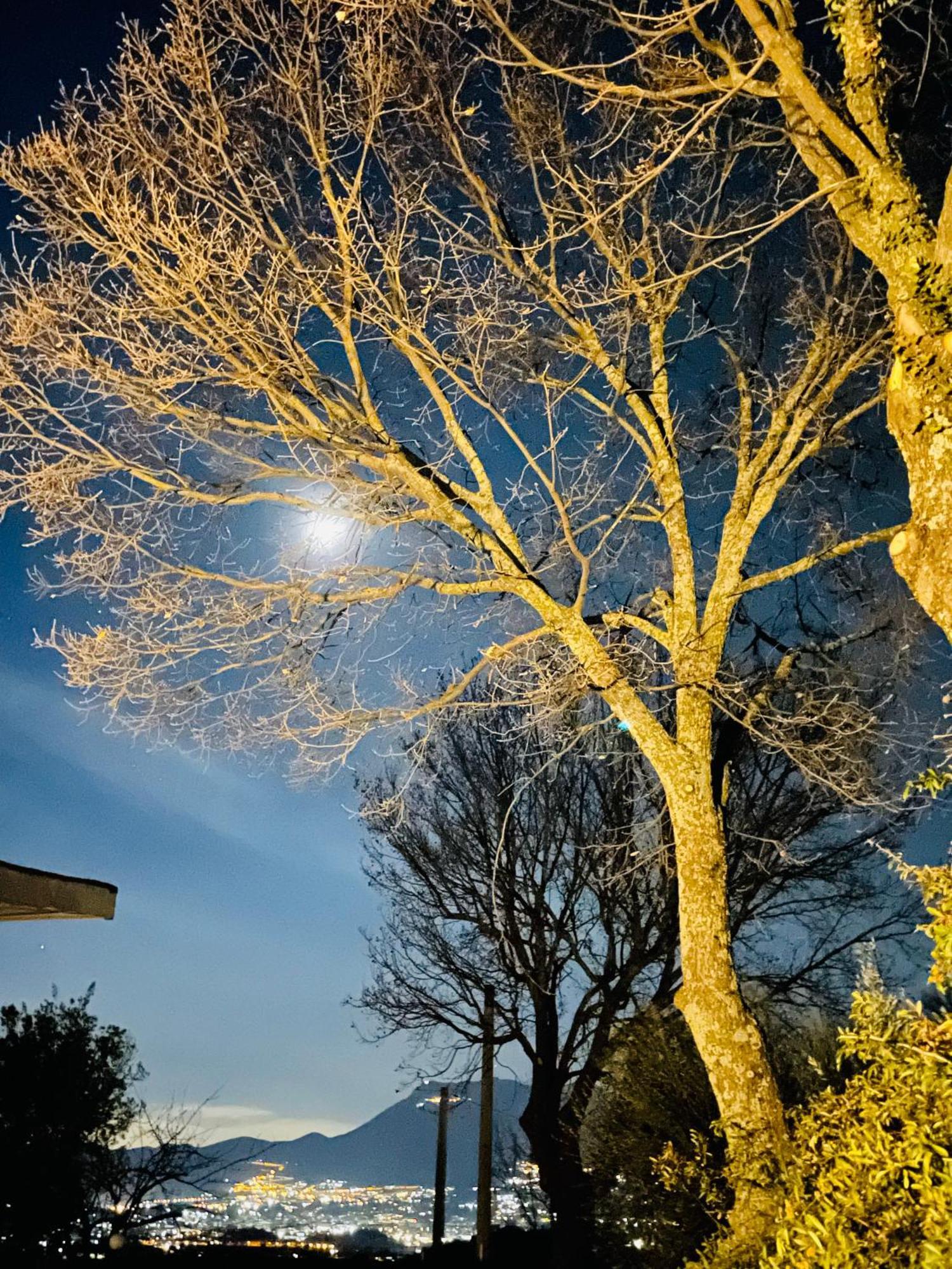 Villa Mandetta B&B Santo Stefano del Sole Exteriér fotografie