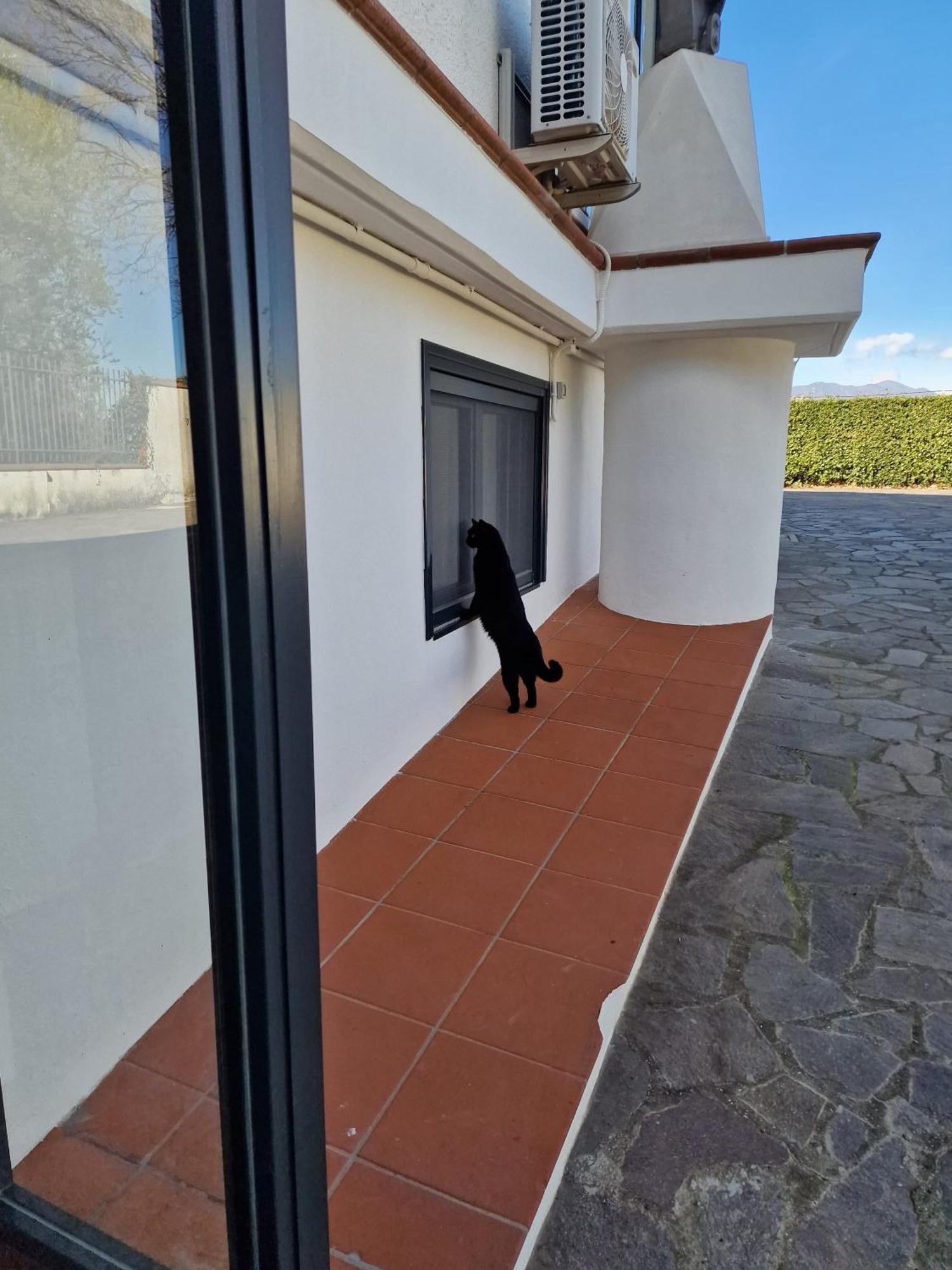 Villa Mandetta B&B Santo Stefano del Sole Exteriér fotografie
