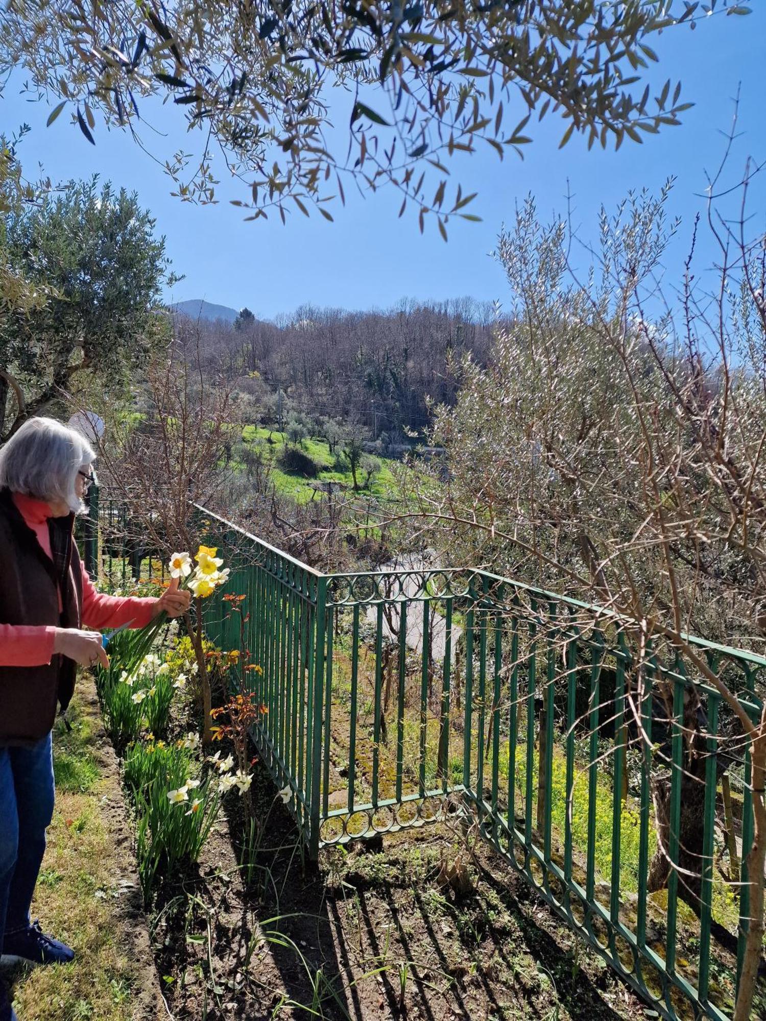 Villa Mandetta B&B Santo Stefano del Sole Exteriér fotografie